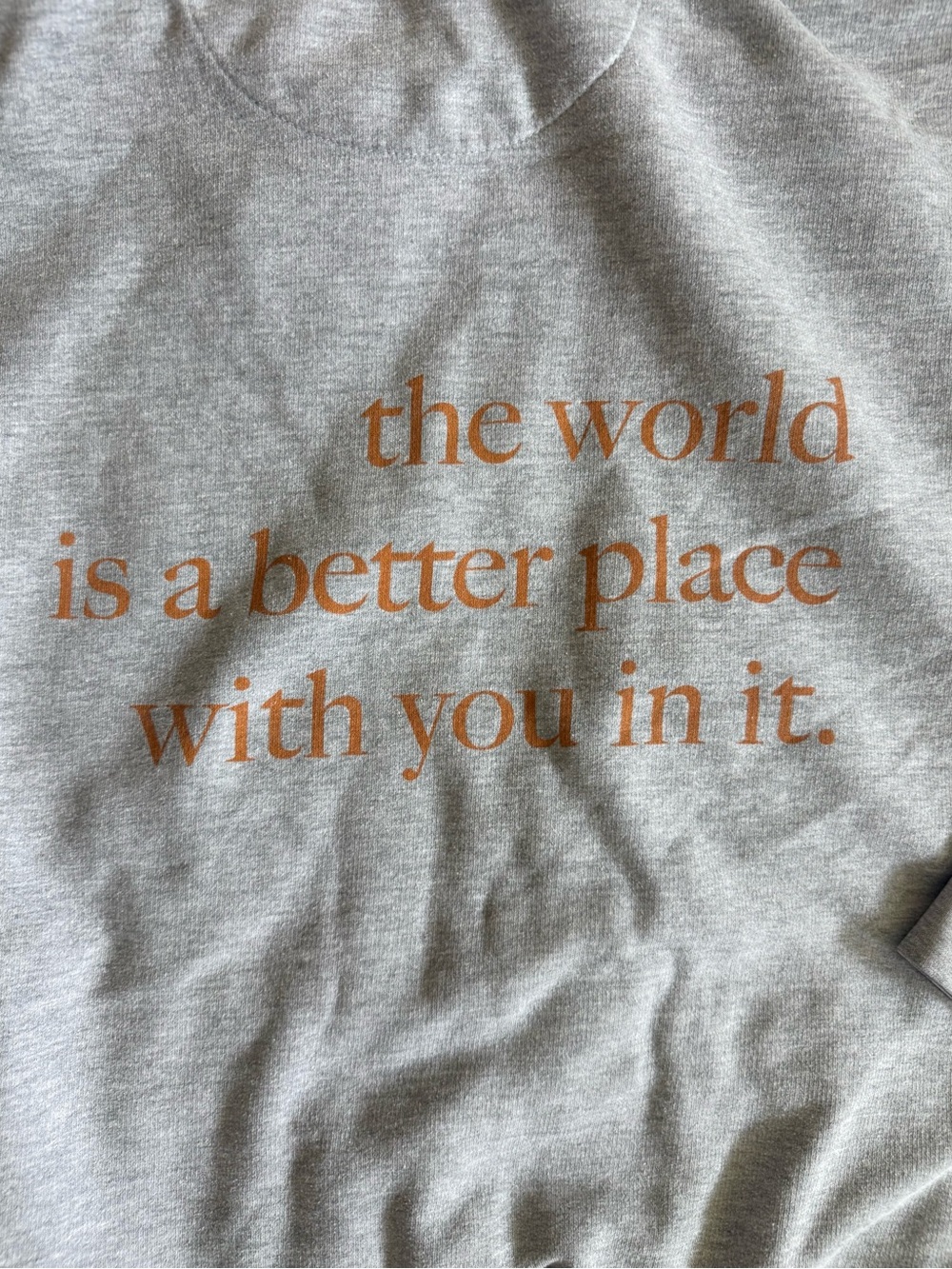 Gray Hoodie Sweatshirt w Copper Text - The World is a Better Place Size L Inspo